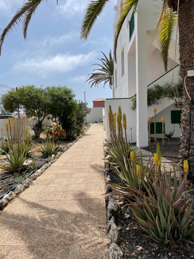 Casa Palmera Costa De Antigua Exterior foto